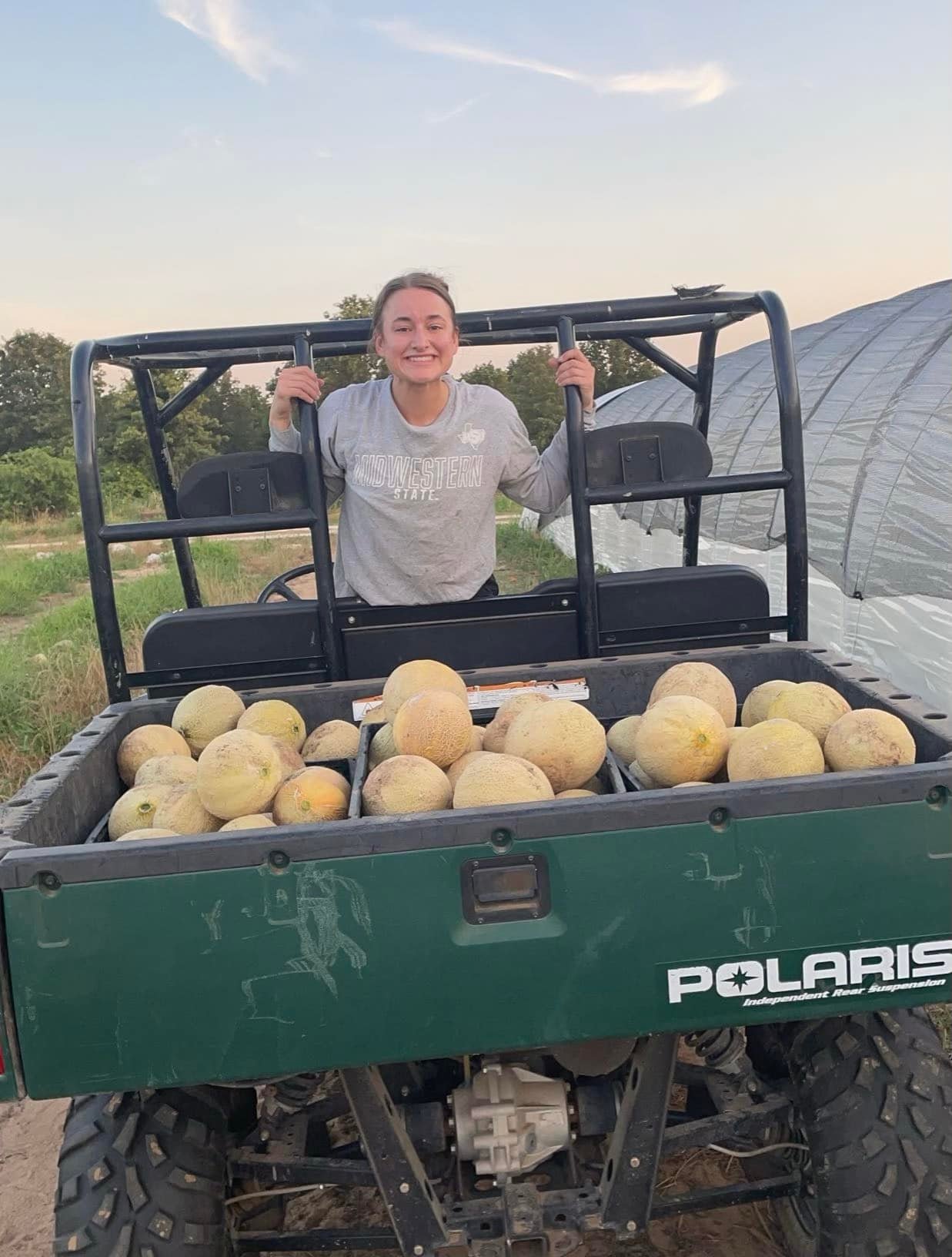 Brushy Creek Farm's bountiful summer cantaloupe harvest