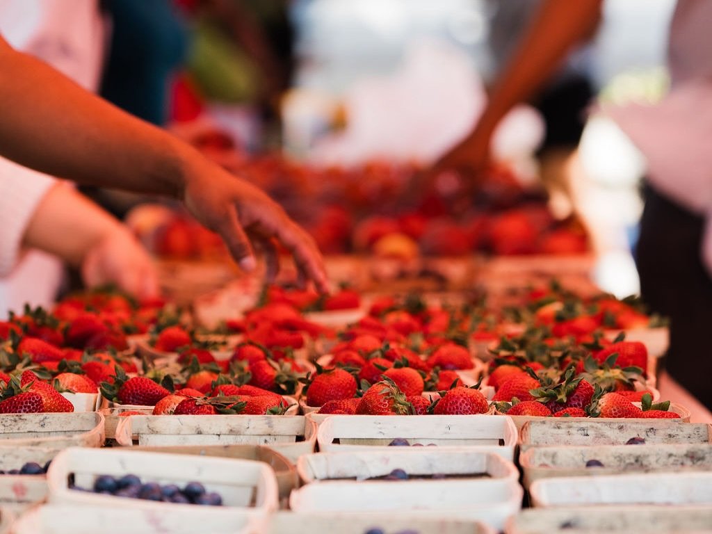 Strawberries as sweet as Texas summer