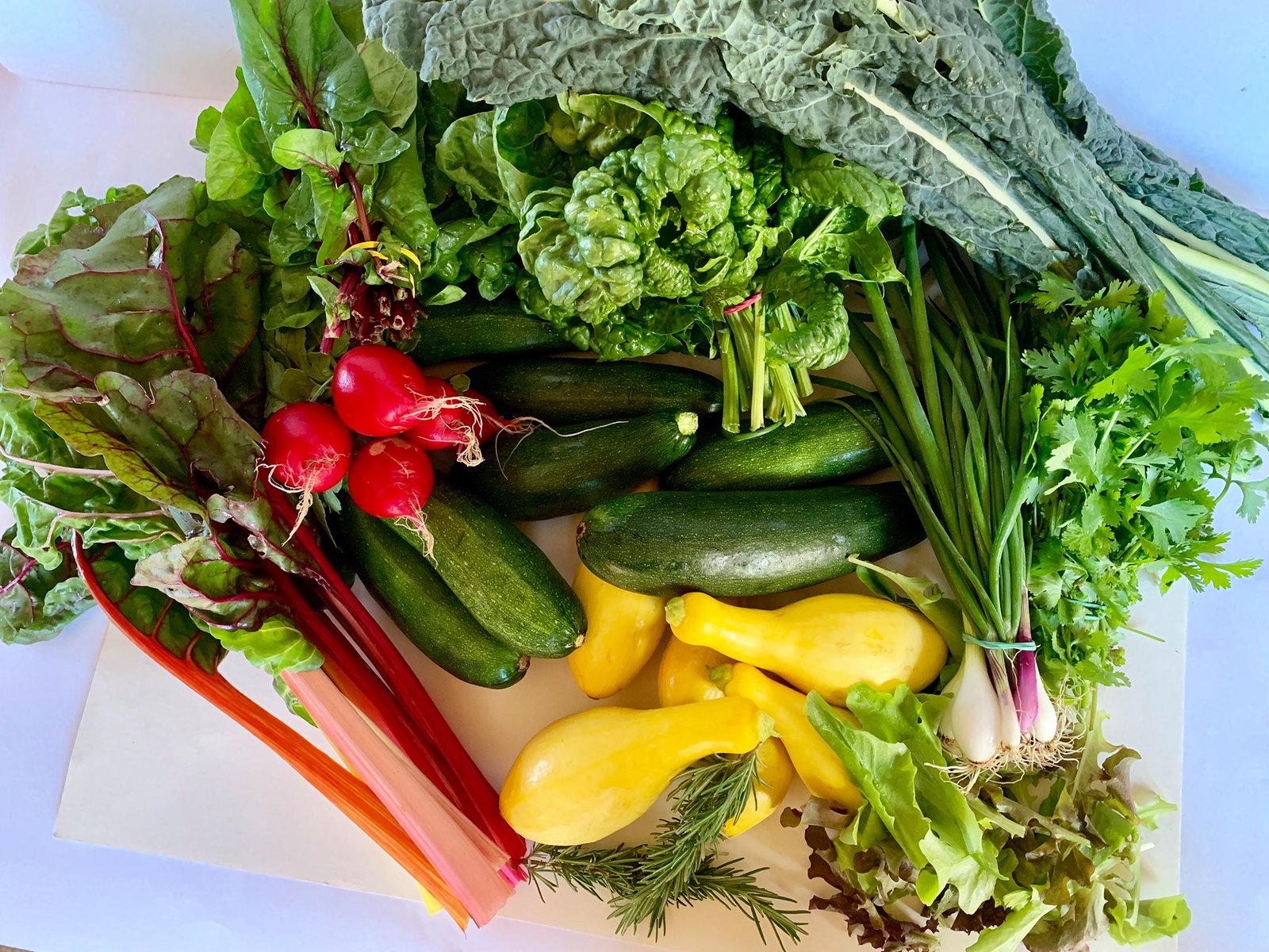 Beautiful Display: Sapling Farms’ Abundant Produce Table